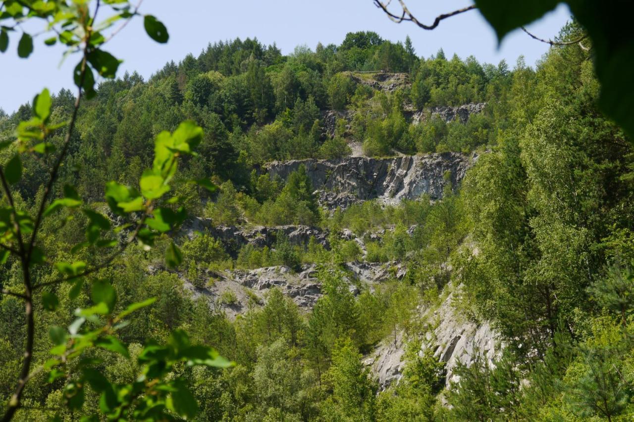 Lesniakowka 693-664-683 Chalet Solina (Podkarpackie)